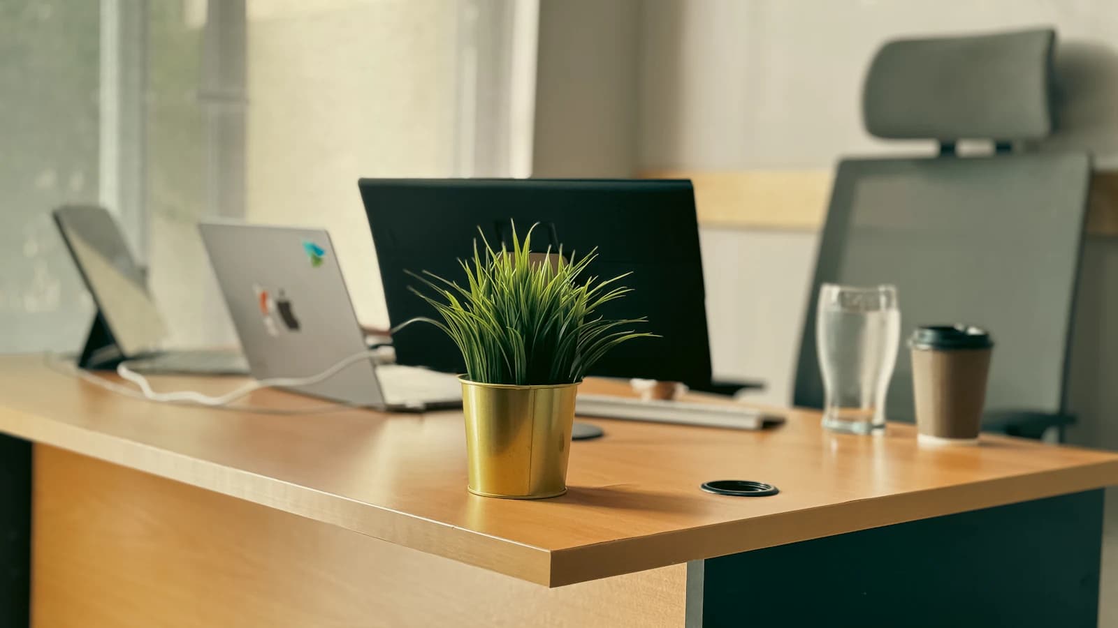 Focused product studio workspace